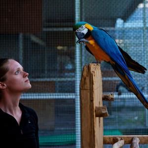 Meet your Posher, Ellen